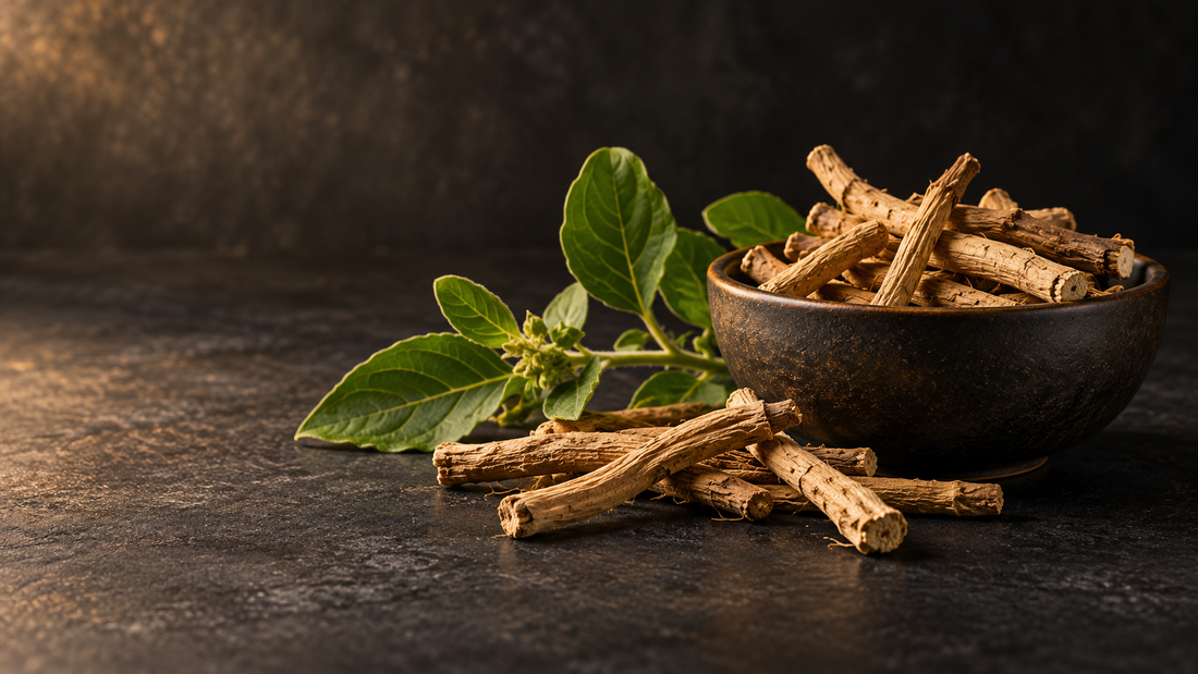 Ashwagandha: ekstrakt, witanolidy i standaryzacja bez tajemnic
